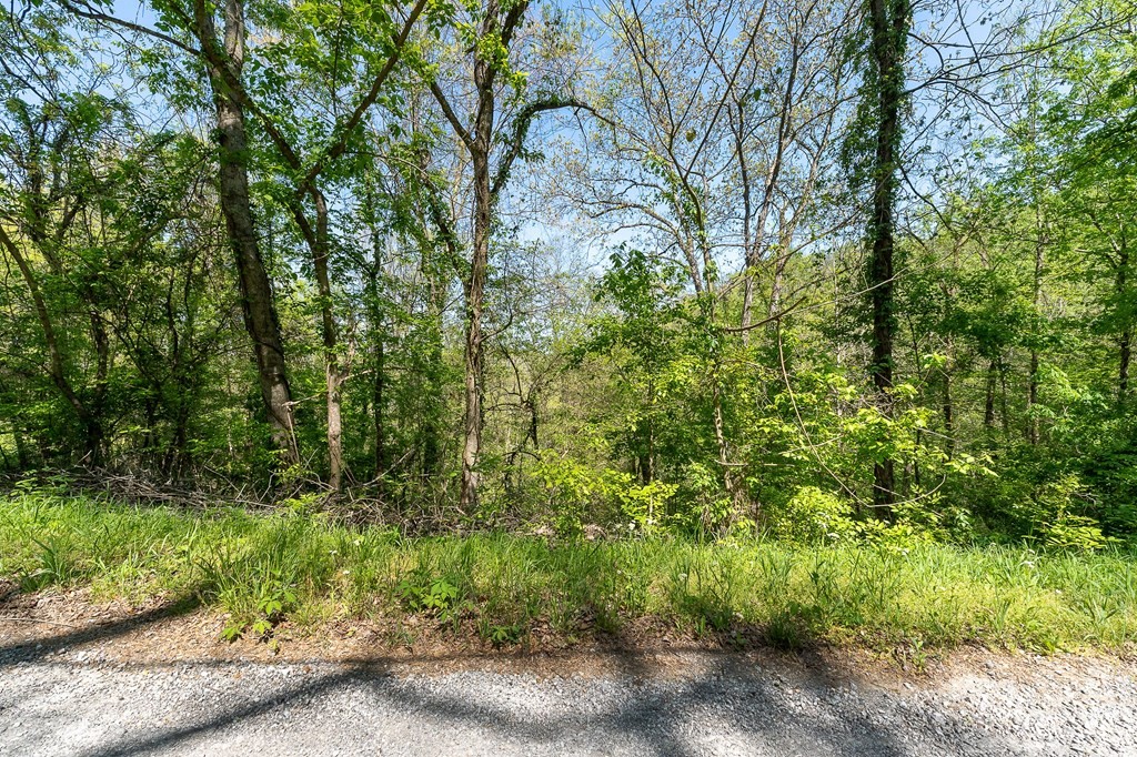 94 Austin Bottom Baxter, TN 38544 - Photo 16 of 19