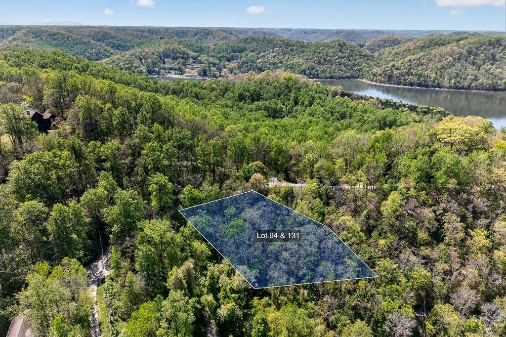 94 Austin Bottom Baxter, TN 38544 - Photo 19 of 19