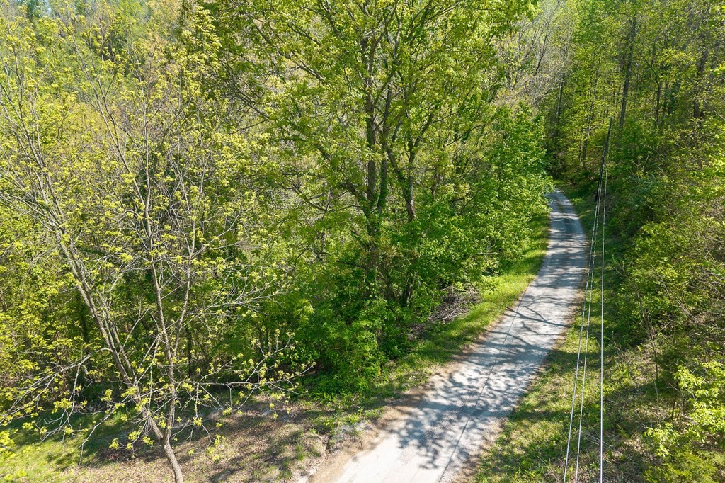 94 Austin Bottom Baxter, TN 38544 - Photo 3 of 19