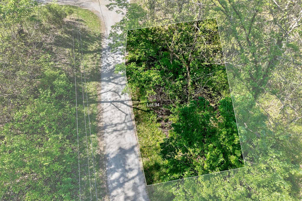 94 Austin Bottom Baxter, TN 38544 - Photo 4 of 19