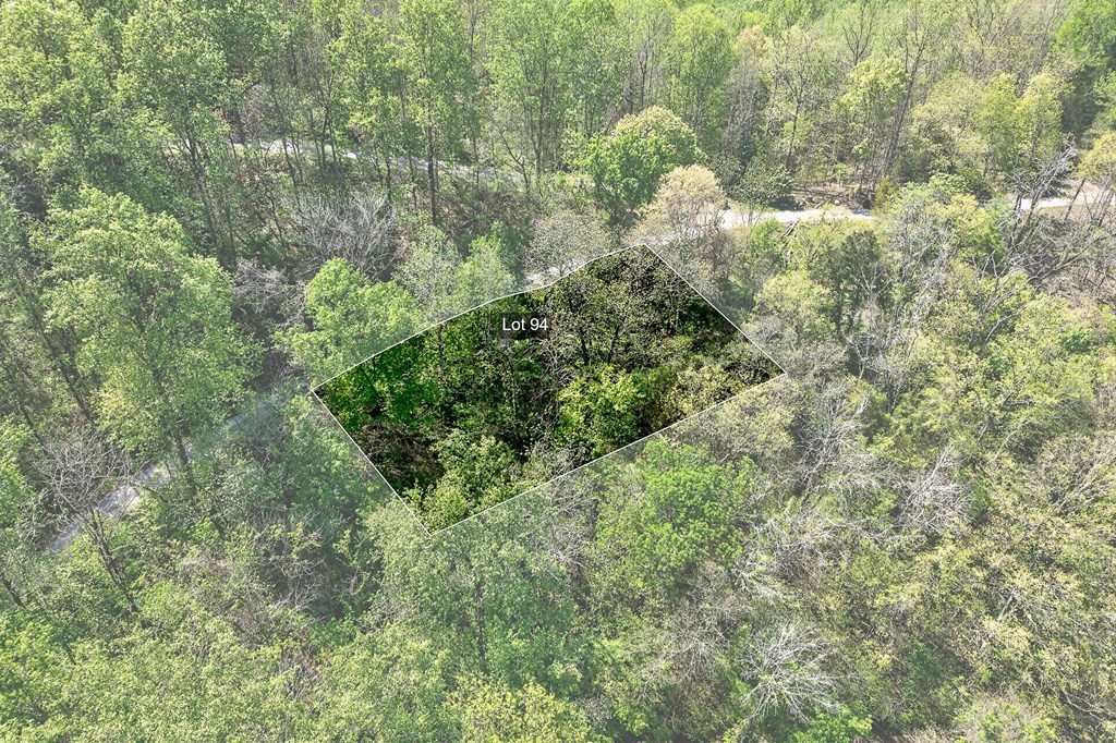 94 Austin Bottom Baxter, TN 38544 - Photo 6 of 19