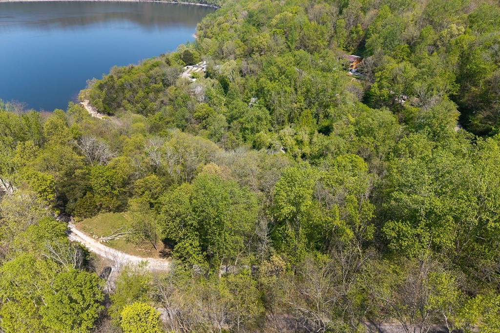 94 Austin Bottom Baxter, TN 38544 - Photo 8 of 19