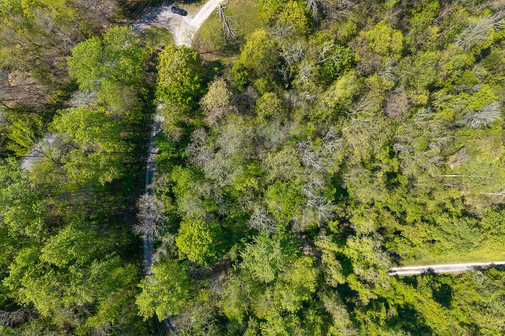 94 Austin Bottom Baxter, TN 38544 - Photo 9 of 19