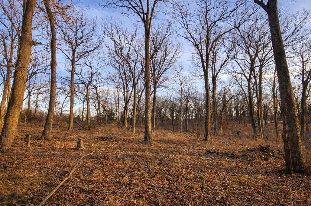 8412 Texoma Hills Road Kingston, OK 73439 - Photo 19 of 24