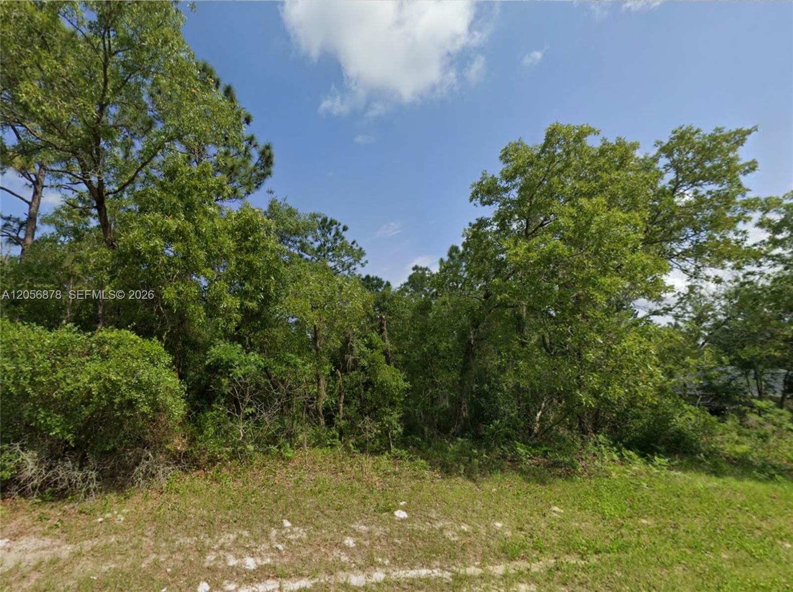 0 Southwest 73rd Court Road Ocala, FL 34473 - Photo 10 of 17 Gallery Image 10
