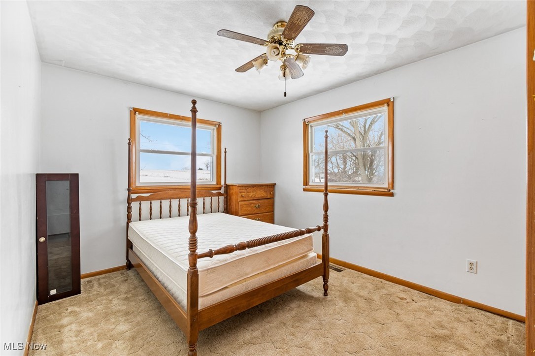 5208 Canaan Center Road Wooster, OH 44691 - Photo 16 of 33 Bedroom featuring baseboards, light carpet, and a ceiling fan