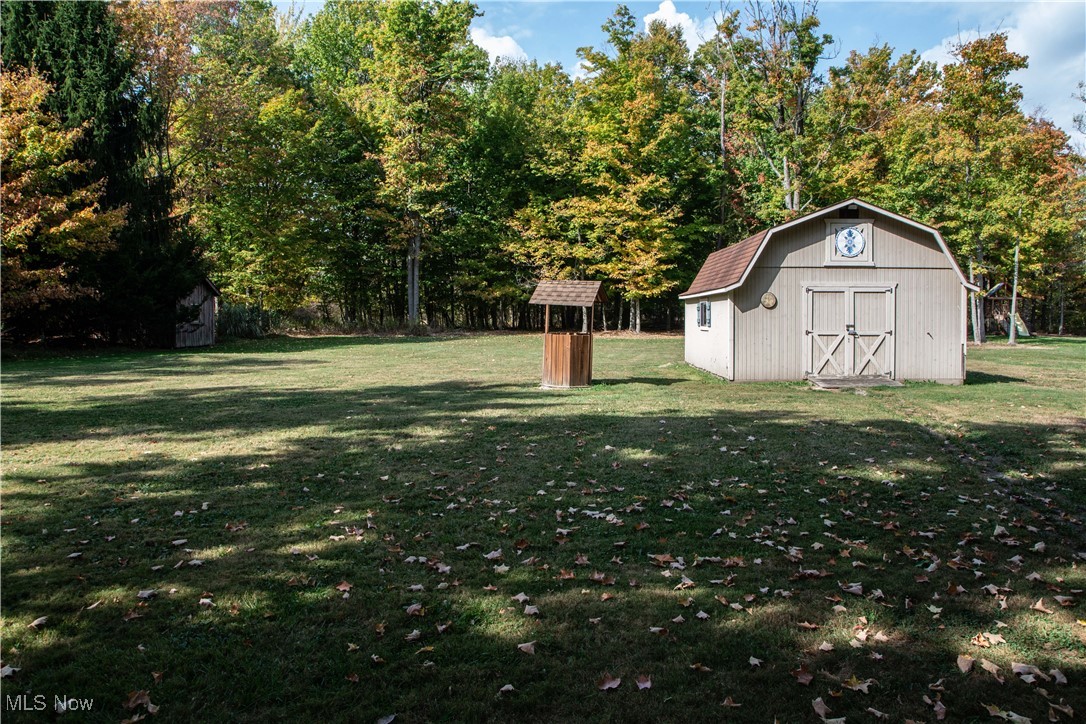 10050 New Buffalo Road Canfield, OH 44406 - Photo 48 of 49 View of yard with a storage shed