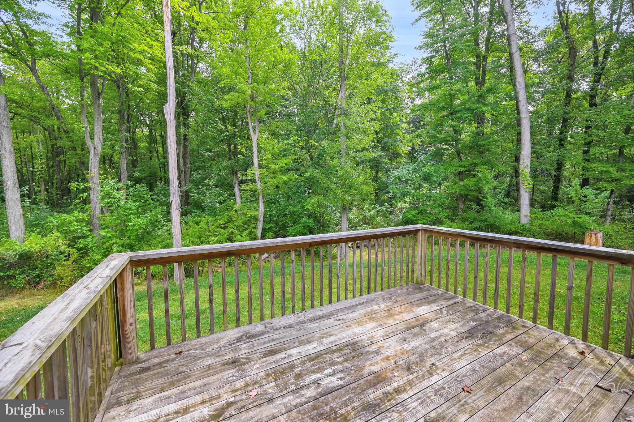 115 Lake Road Thomasville, PA 17364 - Photo 37 of 46 Gallery Image 37