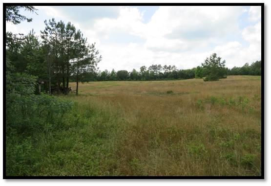 0 Cochran Road Hodges, SC 29653 - Photo 5 of 13