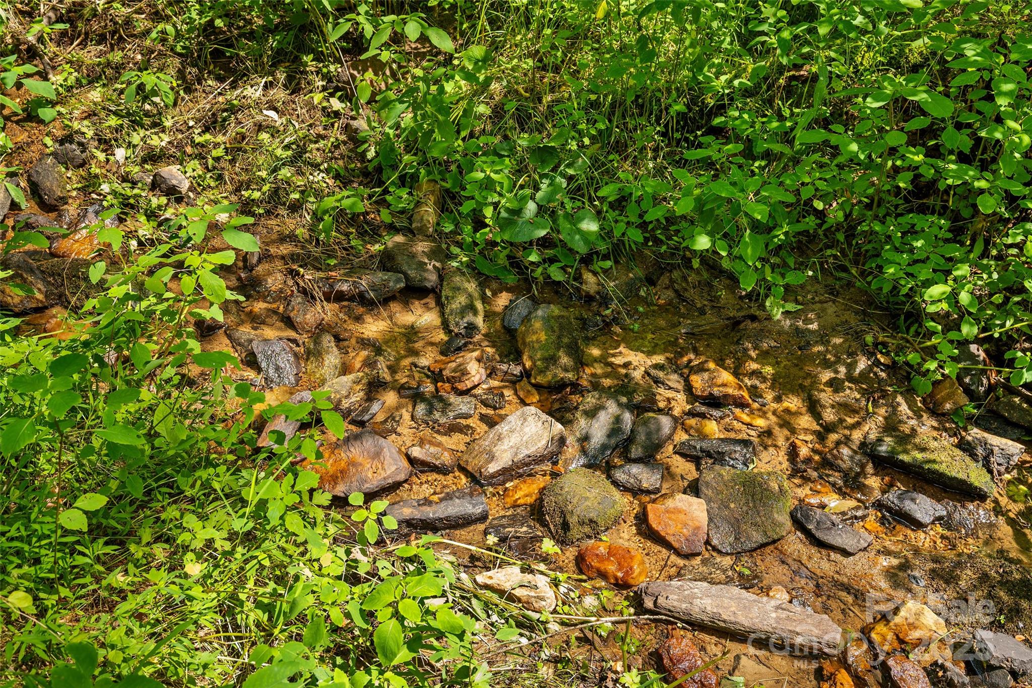 117 Grandview Road Alexander, NC 28701 - Photo 3 of 15 a view of a tree