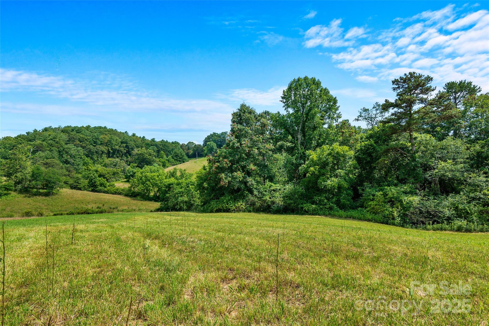 117 Grandview Road Alexander, NC 28701 - Photo 4 of 15 a view of a grassy field with trees in the background