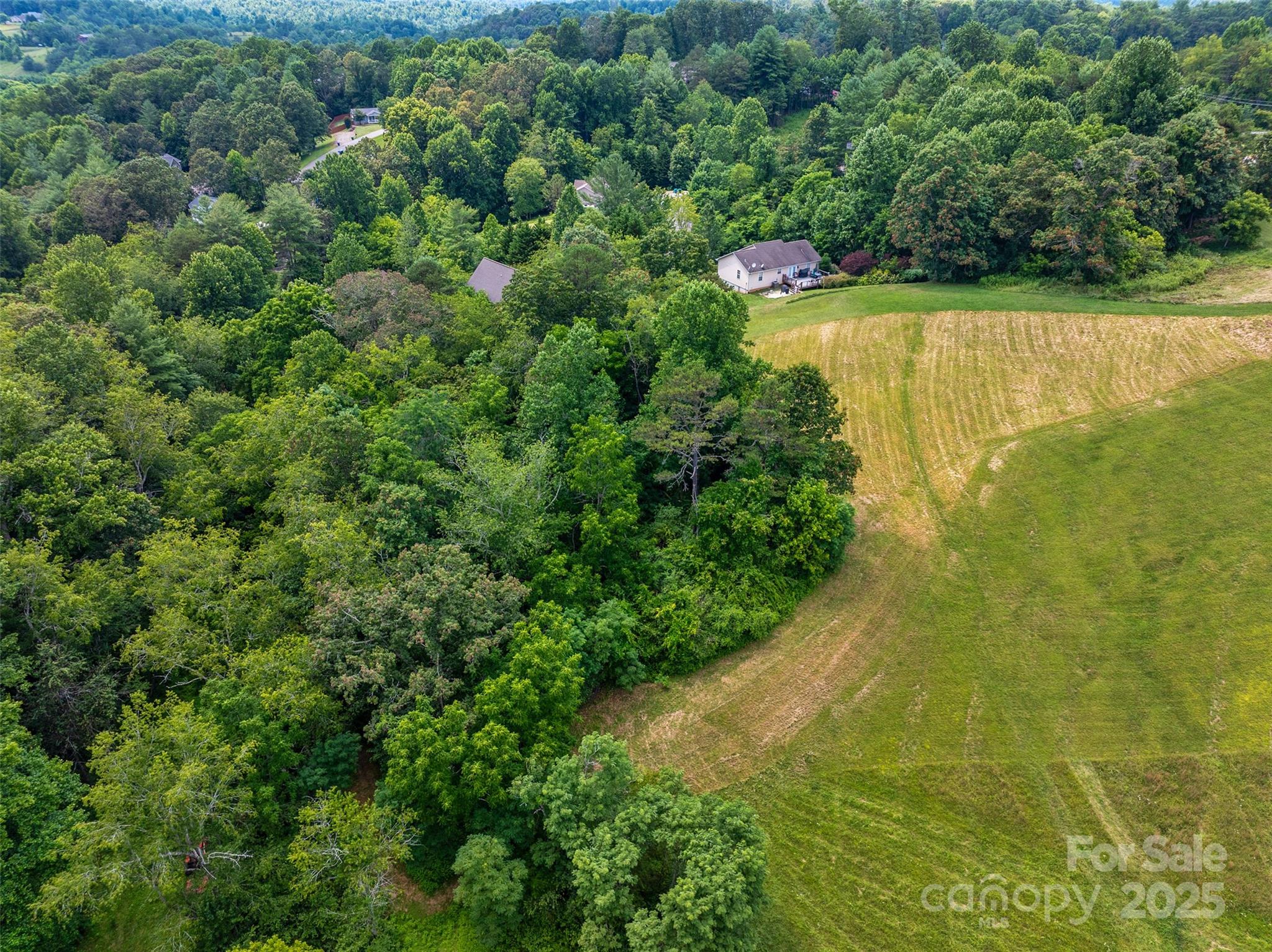 117 Grandview Road Alexander, NC 28701 - Photo 6 of 15 a view of a lake view with a garden