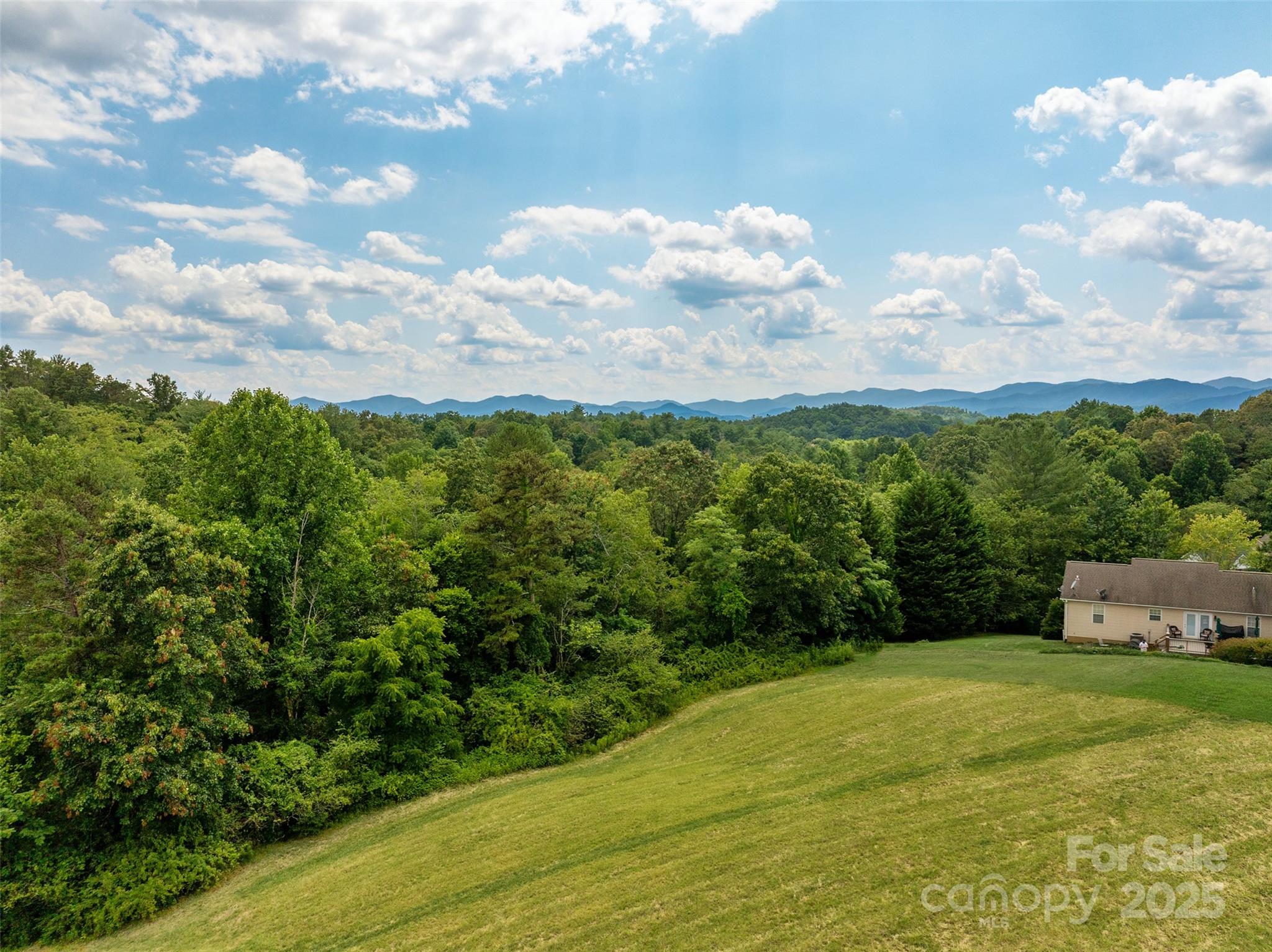 117 Grandview Road Alexander, NC 28701 - Photo 8 of 15 a view of a yard with an tree
