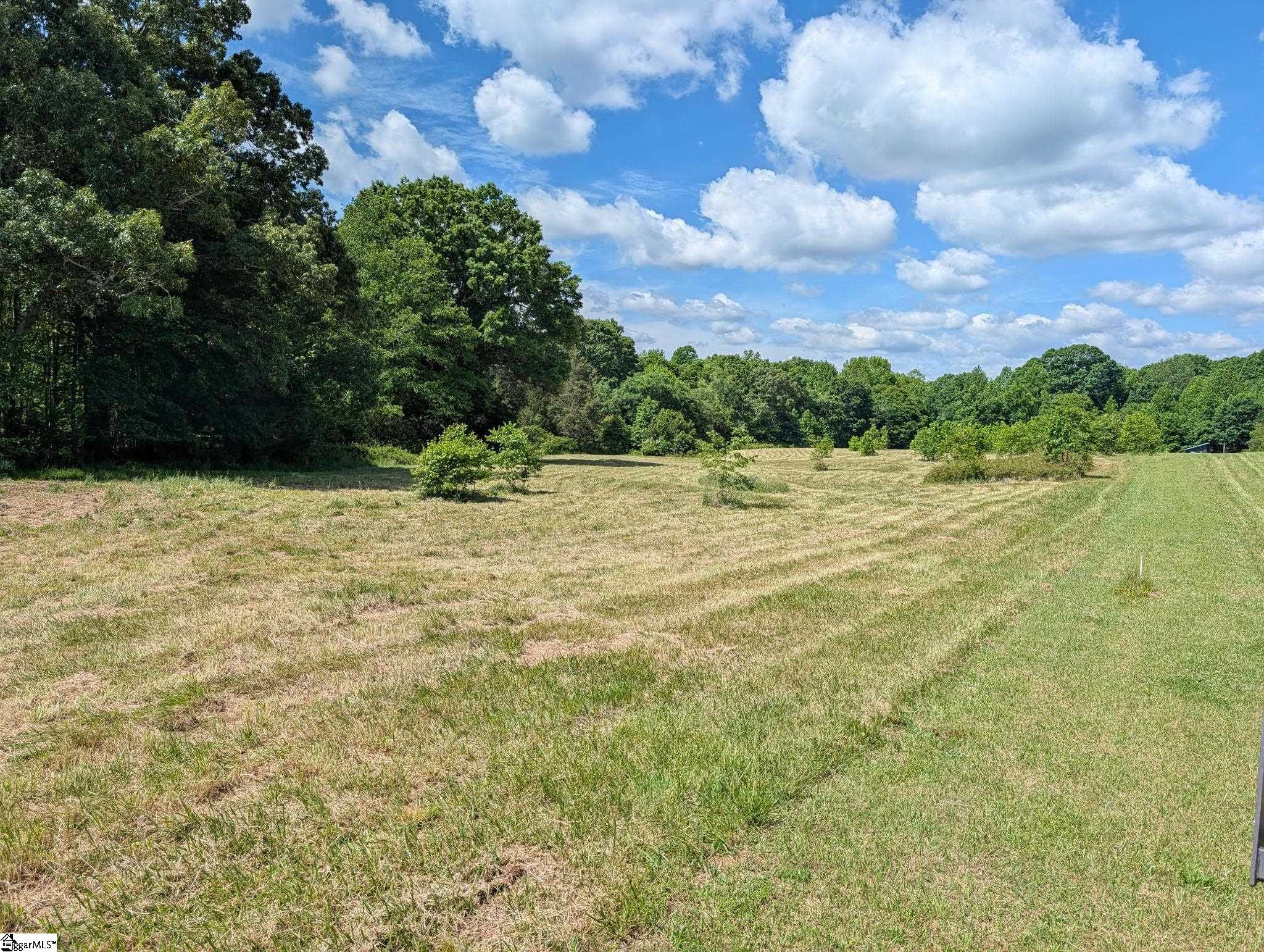 0 Watson Road Enoree, SC 29335 - Photo 3 of 4