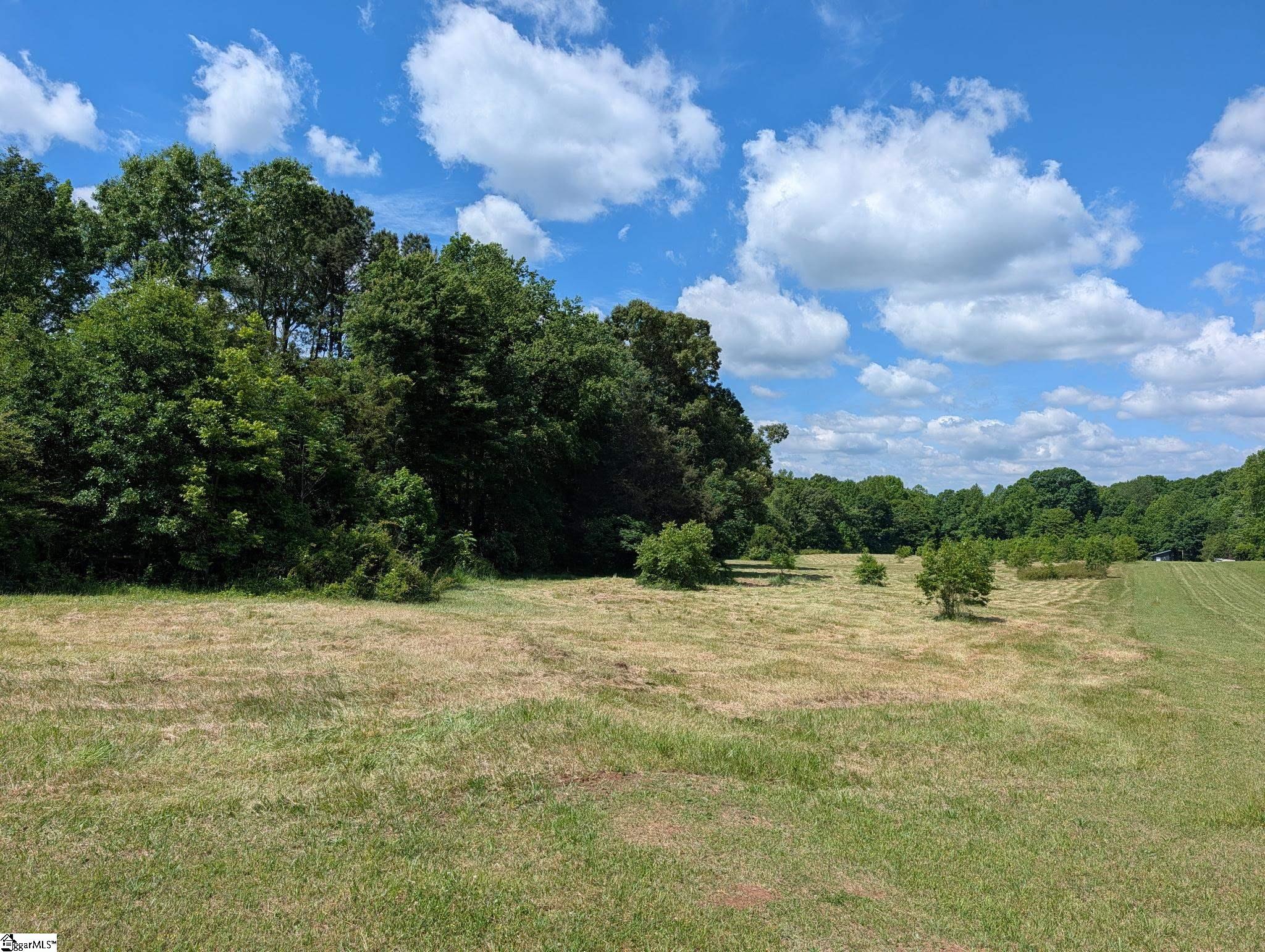 0 Watson Road Enoree, SC 29335 - Photo 4 of 4