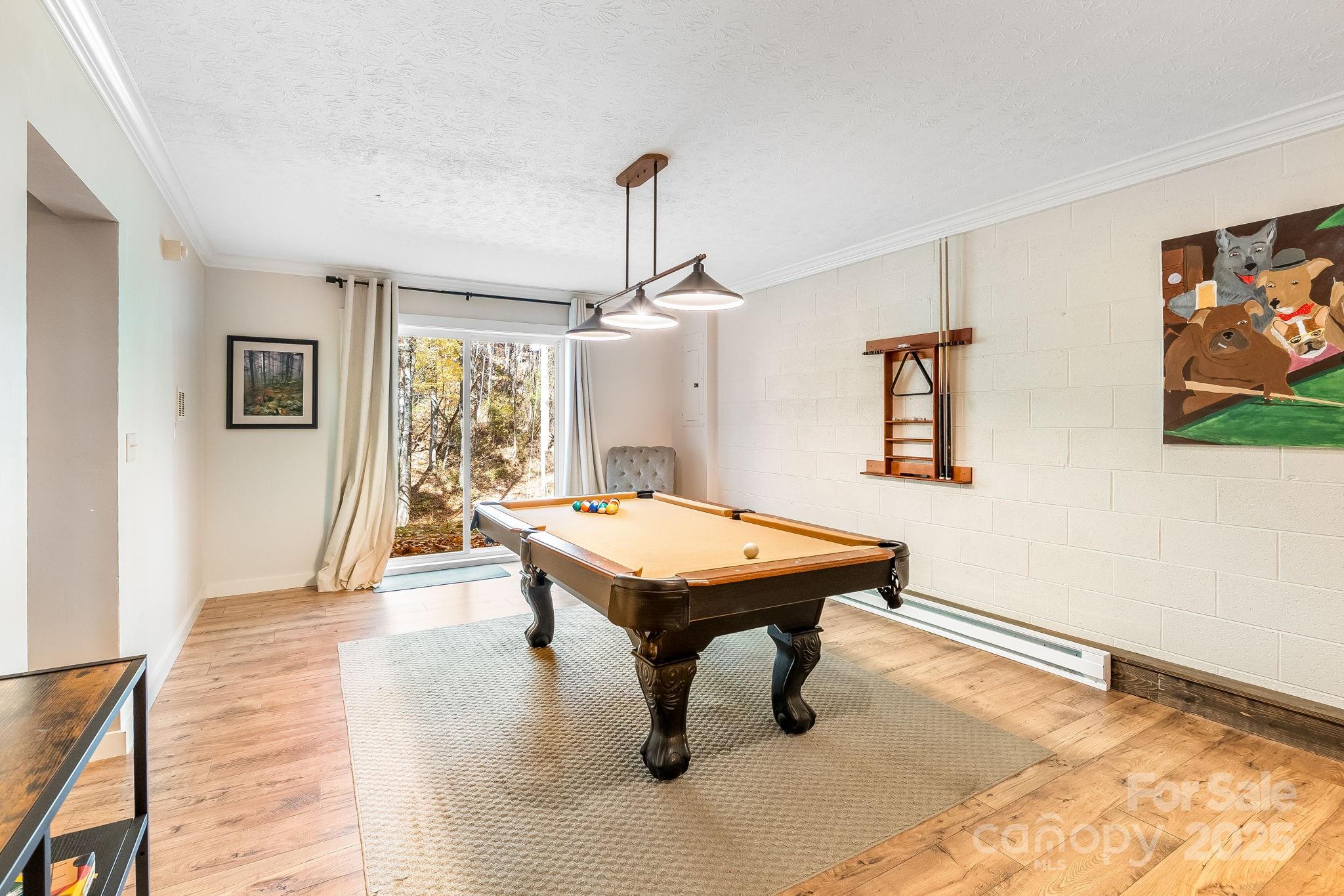 146 Promiseland Road Canton, NC 28716 - Photo 24 of 30 a room with pool table and window