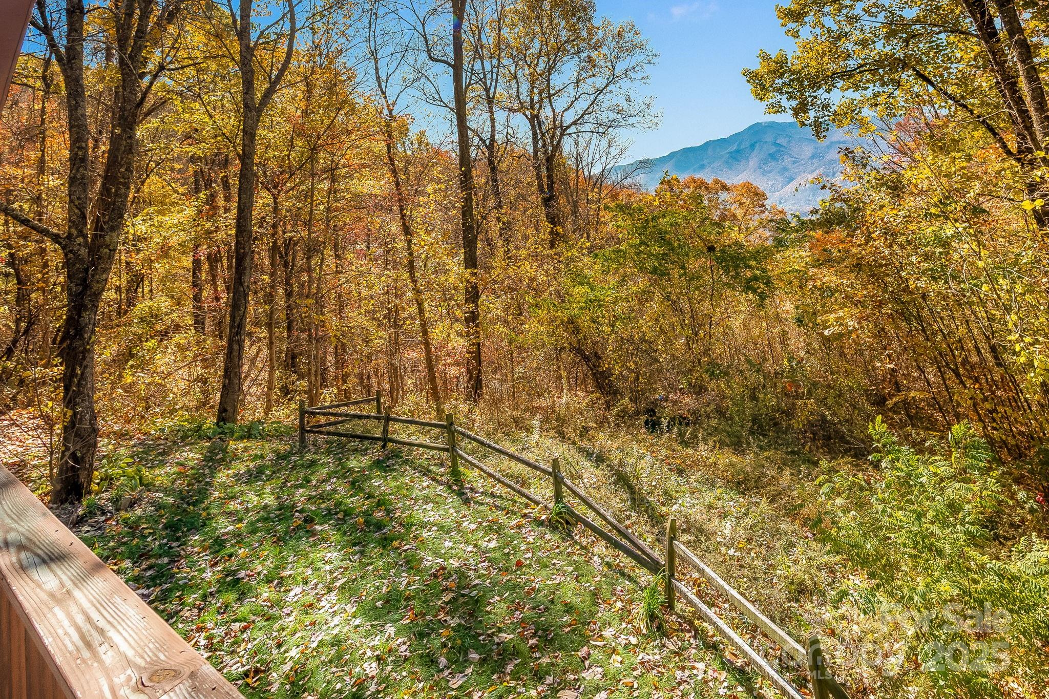 146 Promiseland Road Canton, NC 28716 - Photo 30 of 30