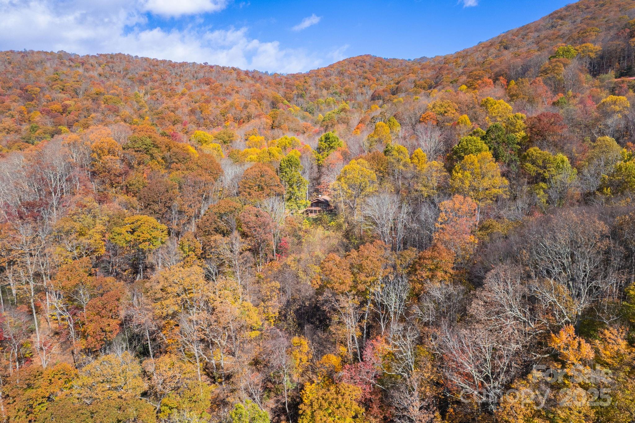 146 Promiseland Road Canton, NC 28716 - Photo 6 of 30 a view of mountain view
