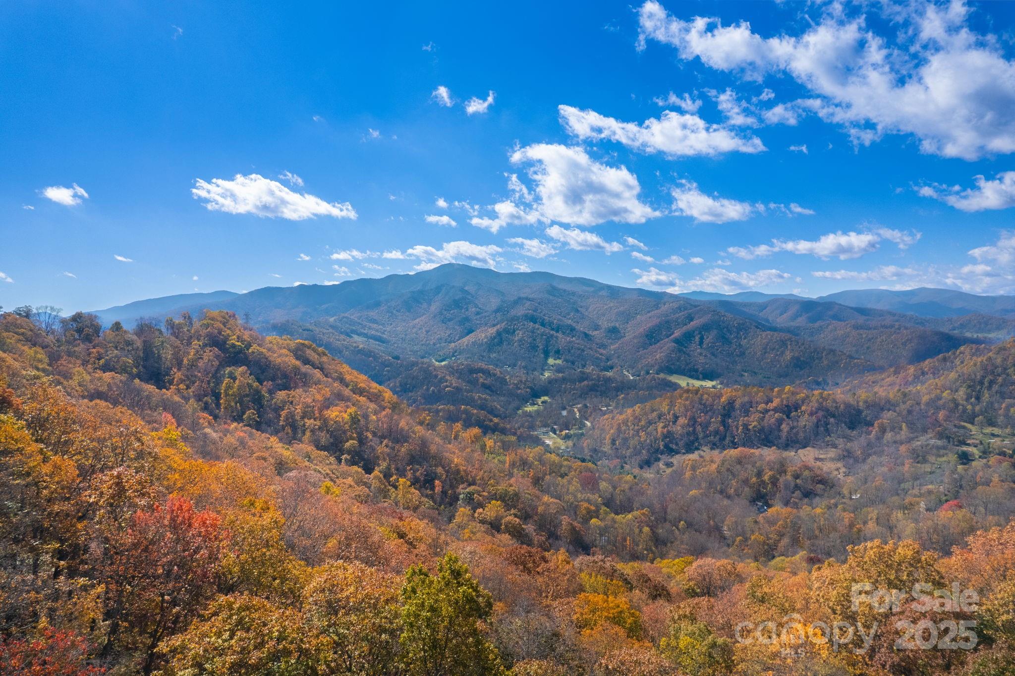 146 Promiseland Road Canton, NC 28716 - Photo 7 of 30 a view of a golf course with green space