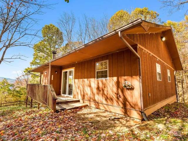 a view of backyard with large trees