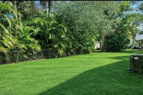 a view of a park with a tree