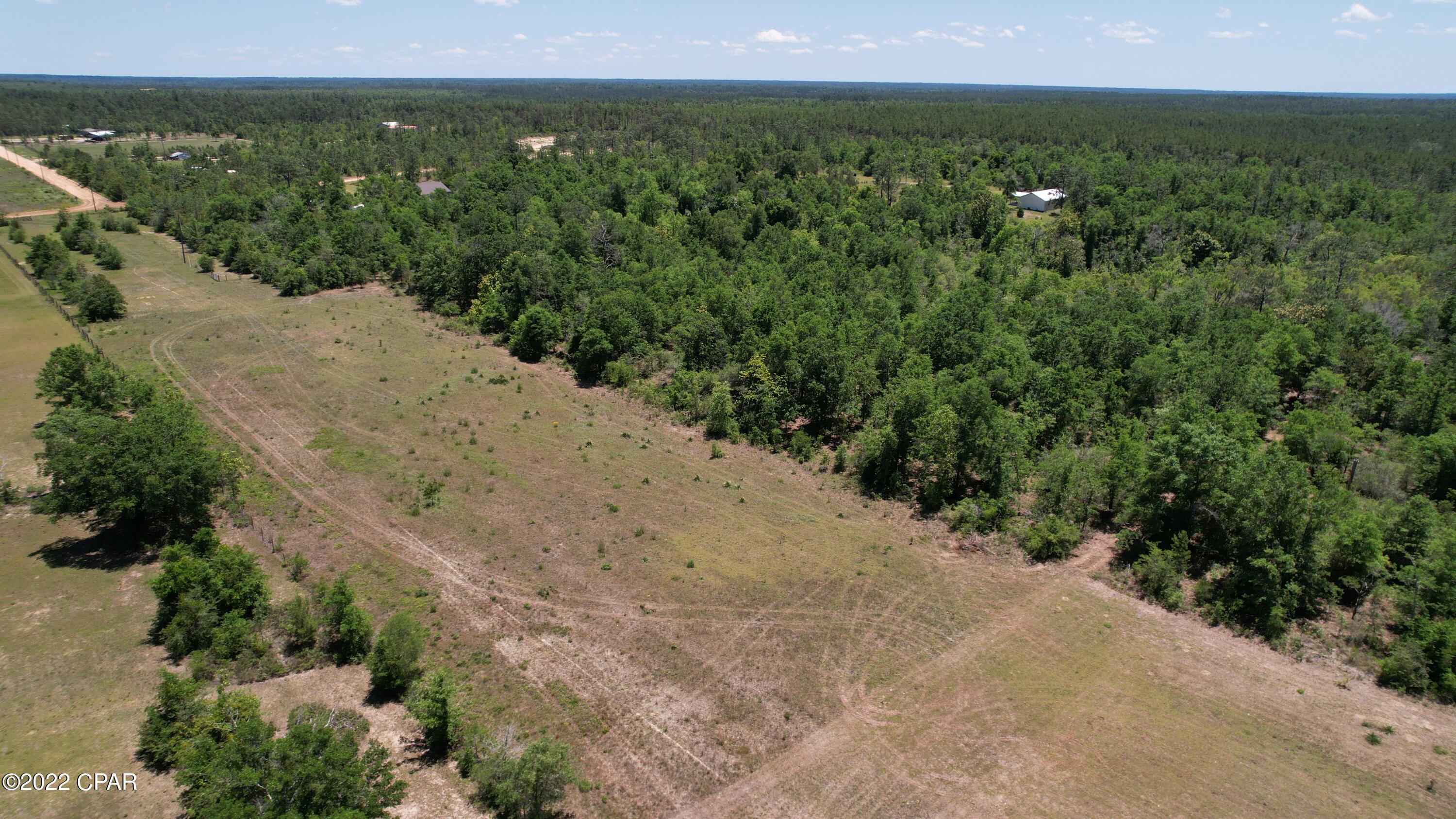 0 Diddly Road Chipley, FL 32428 - Photo 3 of 25 Gallery Image 3