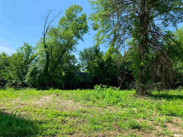 $312,500 | 5281-5287 Country Club Road, Unit 1 2, Murphysboro, IL 62966