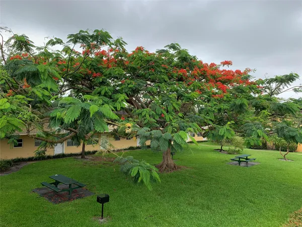 $1,350 | 5168 Northeast 6th Avenue, Unit 429, Fort Lauderdale, FL 33334