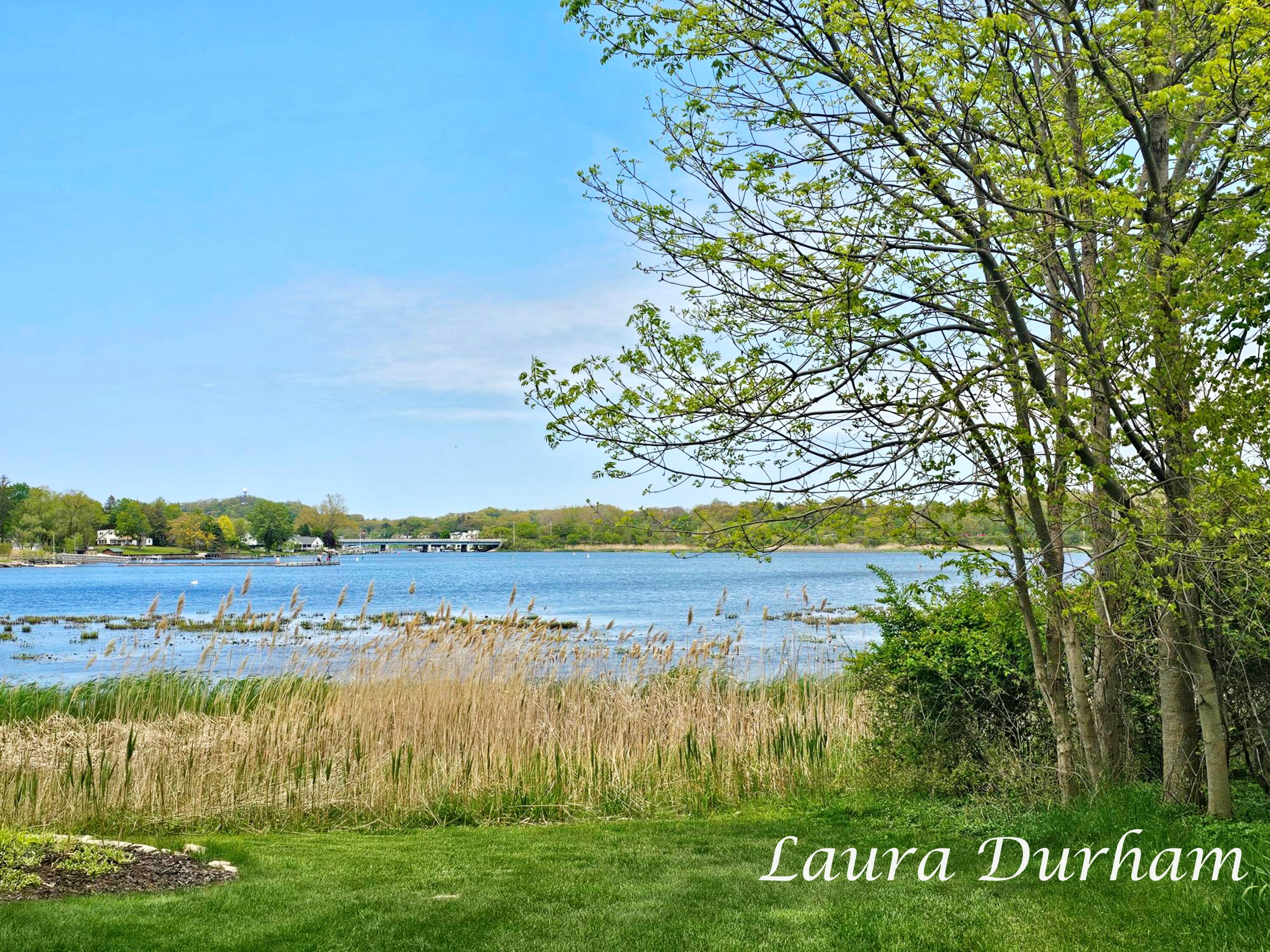 289 Crest Douglas, MI 49406 - Photo 17 of 17 LJD20260515_141326