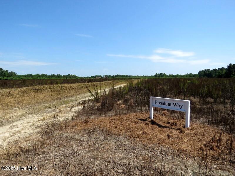 Tbd Cope Road Red Springs, NC 28377 - Photo 11 of 12 IMG_8208