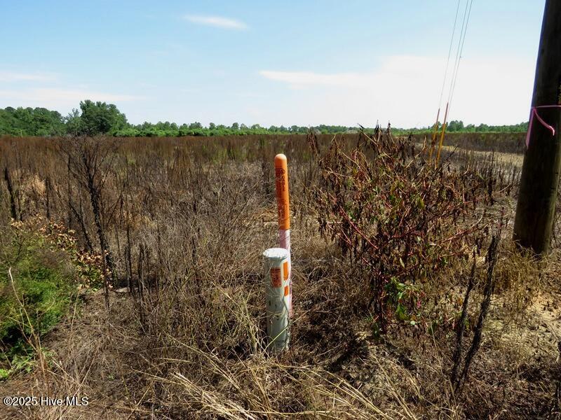 Tbd Cope Road Red Springs, NC 28377 - Photo 12 of 12 IMG_8209
