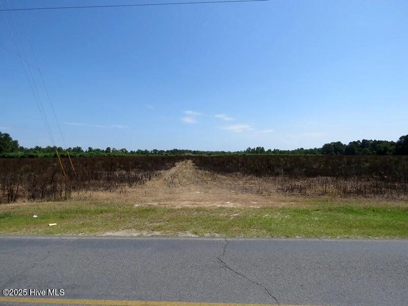 Tbd Cope Road Red Springs, NC 28377 - Photo 6 of 12 IMG_8203