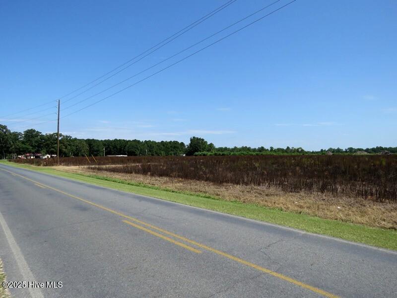 Tbd Cope Road Red Springs, NC 28377 - Photo 7 of 12 IMG_8204