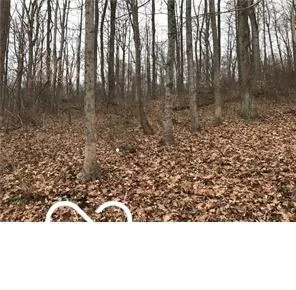 $10,000 | 5216 Orange Grove Road, Gosport, IN 47433