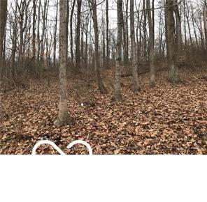 5216 Orange Grove Road Gosport, IN 47433 - Photo 1 of 3