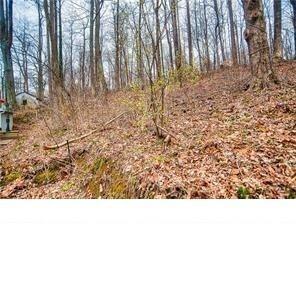 5216 Orange Grove Road Gosport, IN 47433 - Photo 2 of 3