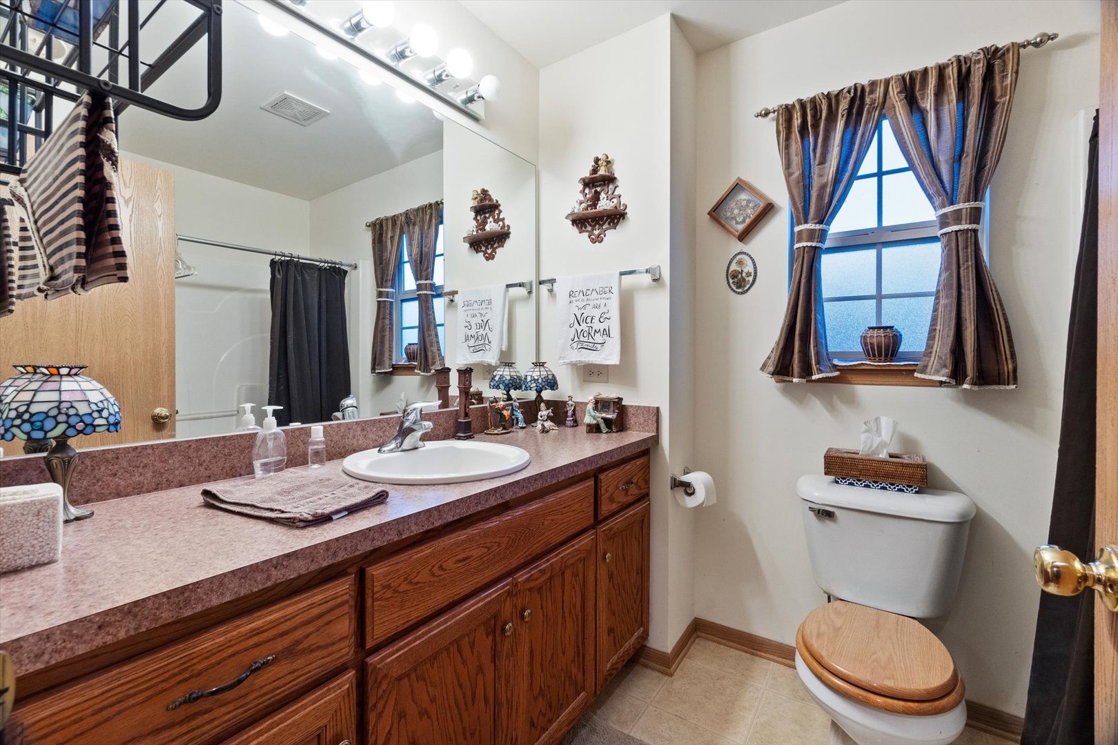 25426 Barrow Road Manhattan, IL 60442 - Photo 16 of 30 a bathroom with a sink a toilet and a mirror