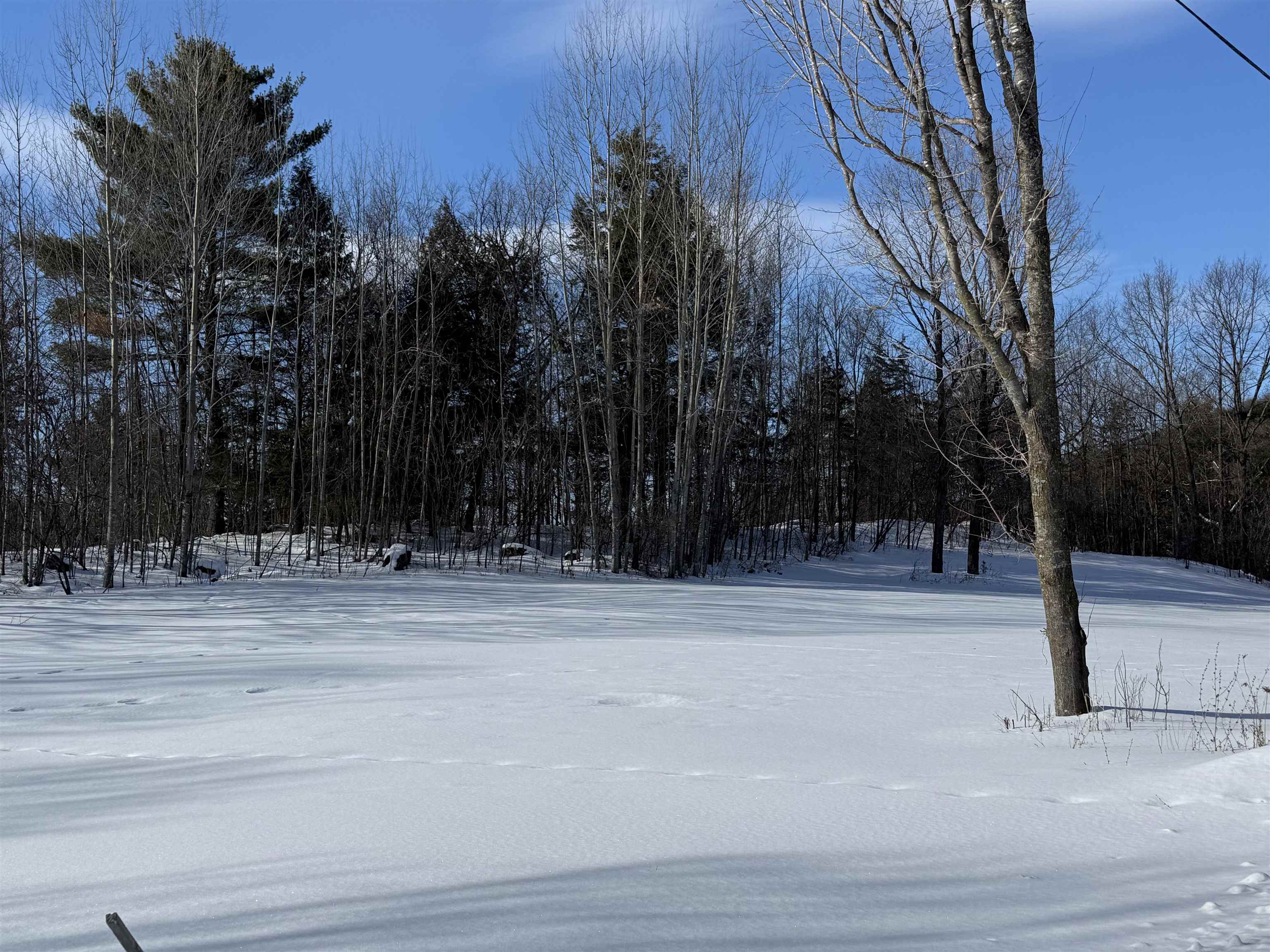 Tbd Forrest Road Bridport, VT 05734 - Photo 2 of 11