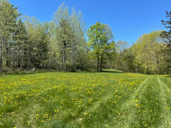 $145,000 | Tbd Forrest Road, Bridport, VT 05734
