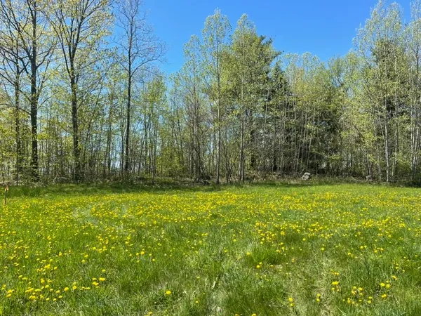 $145,000 | Tbd Forrest Road, Bridport, VT 05734
