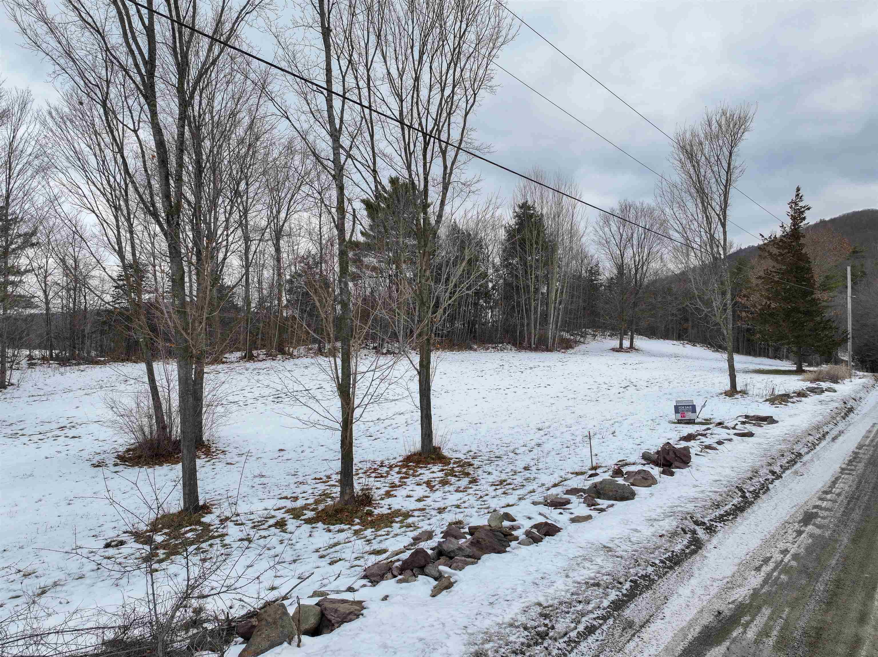 Tbd Forrest Road Bridport, VT 05734 - Photo 3 of 10