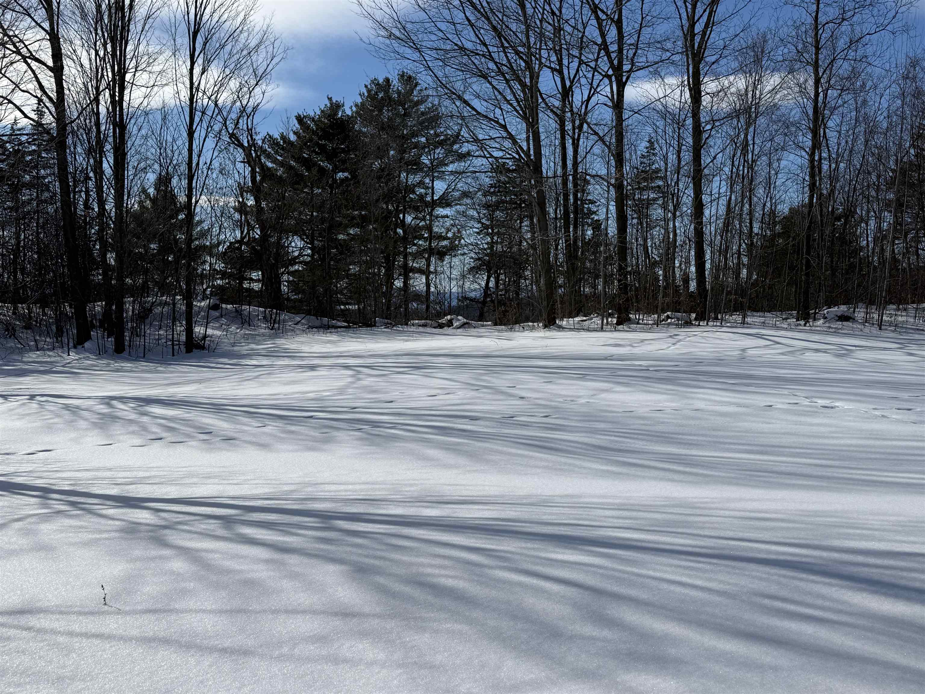 Tbd Forrest Road Bridport, VT 05734 - Photo 4 of 11
