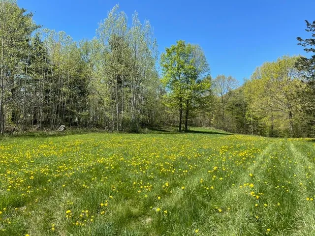 $145,000 | Tbd Forrest Road, Bridport, VT 05734