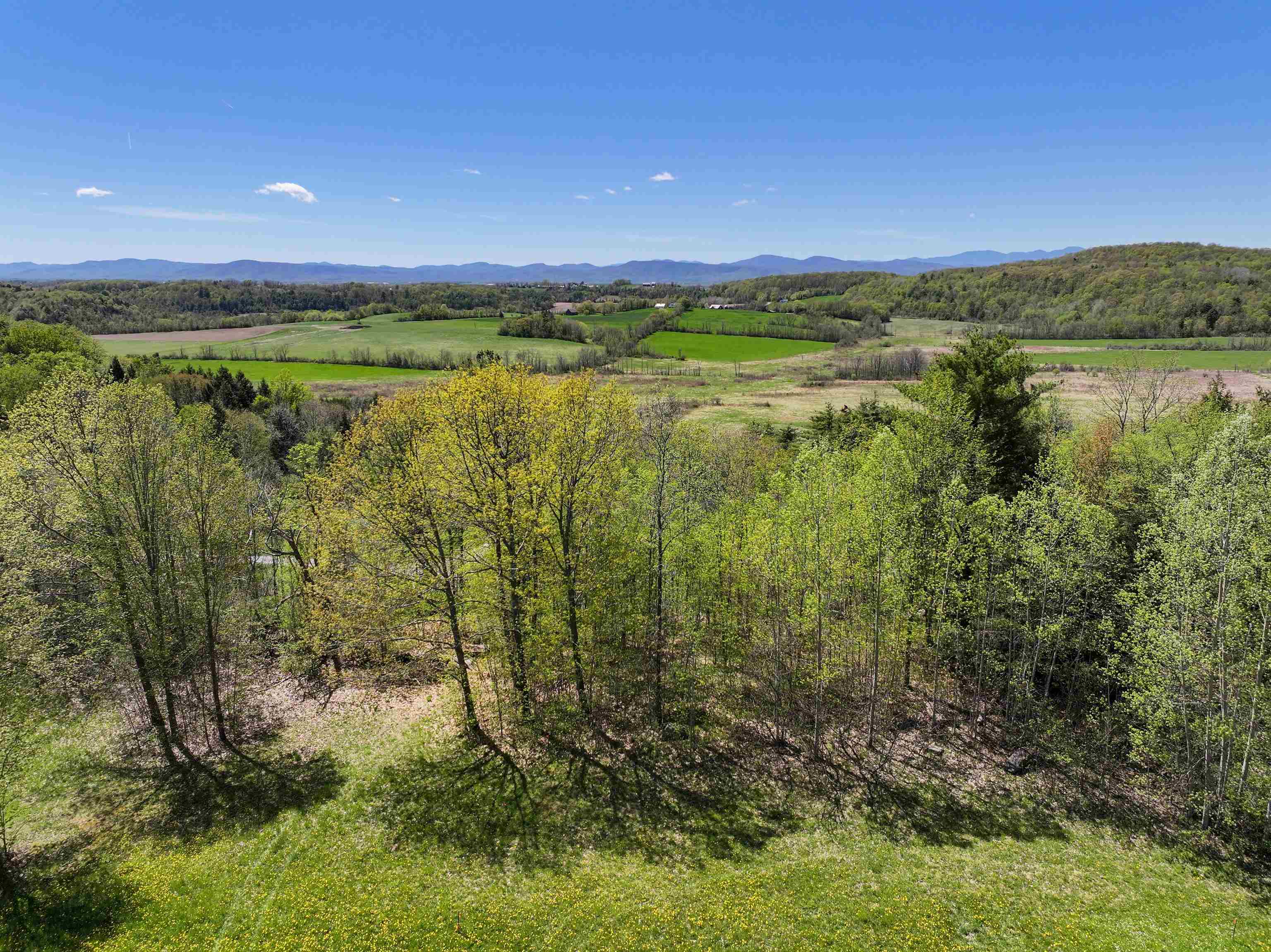 Tbd Forrest Road Bridport, VT 05734 - Photo 6 of 7