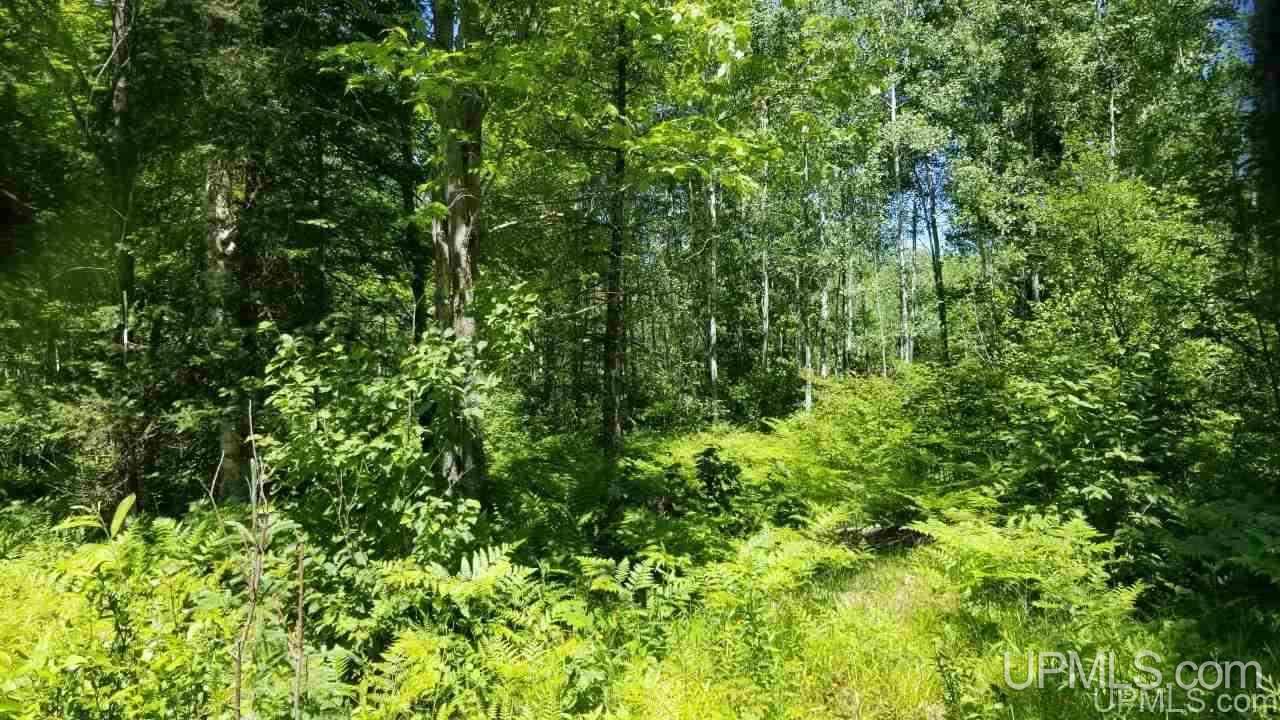 Tbd Parks Farm Road, Unit LOT #2 4 29 ACRES Iron River, MI 49935 - Photo 7 of 12