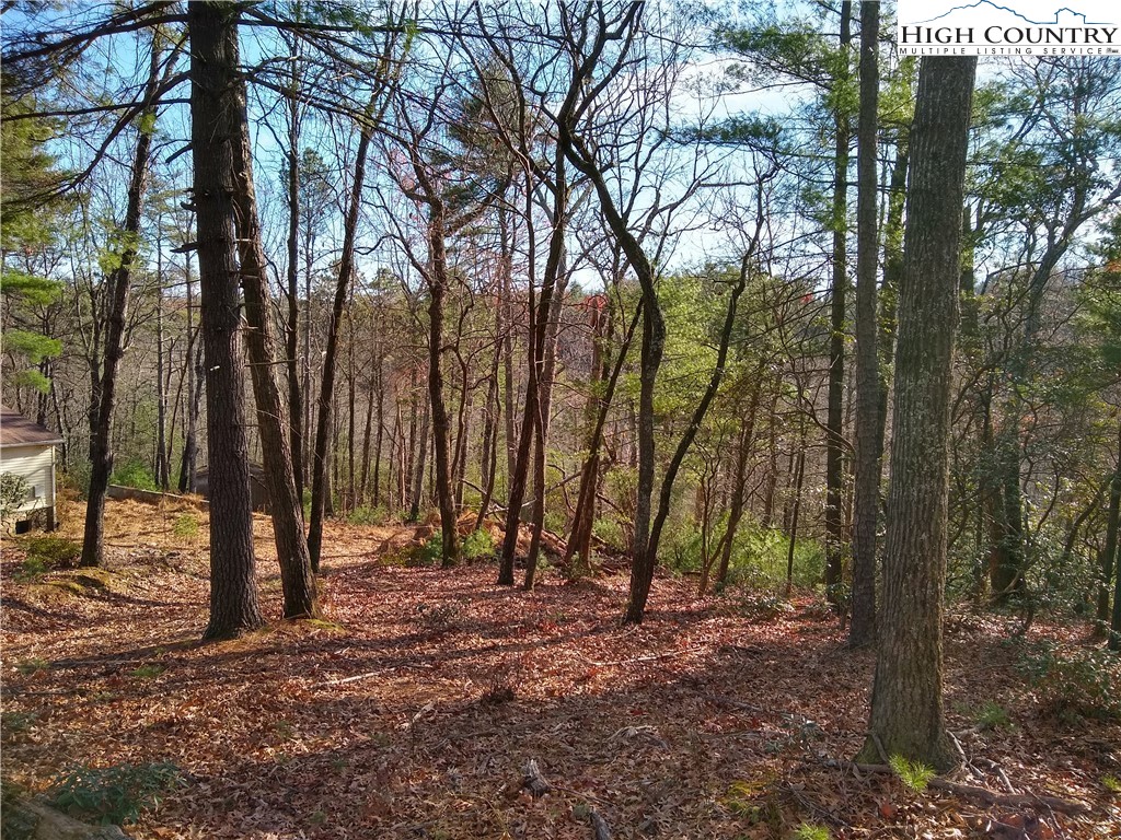 989 Summit Ridge Road Purlear, NC 28665 - Photo 3 of 5