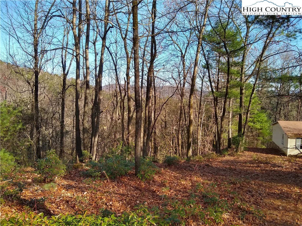 989 Summit Ridge Road Purlear, NC 28665 - Photo 5 of 5