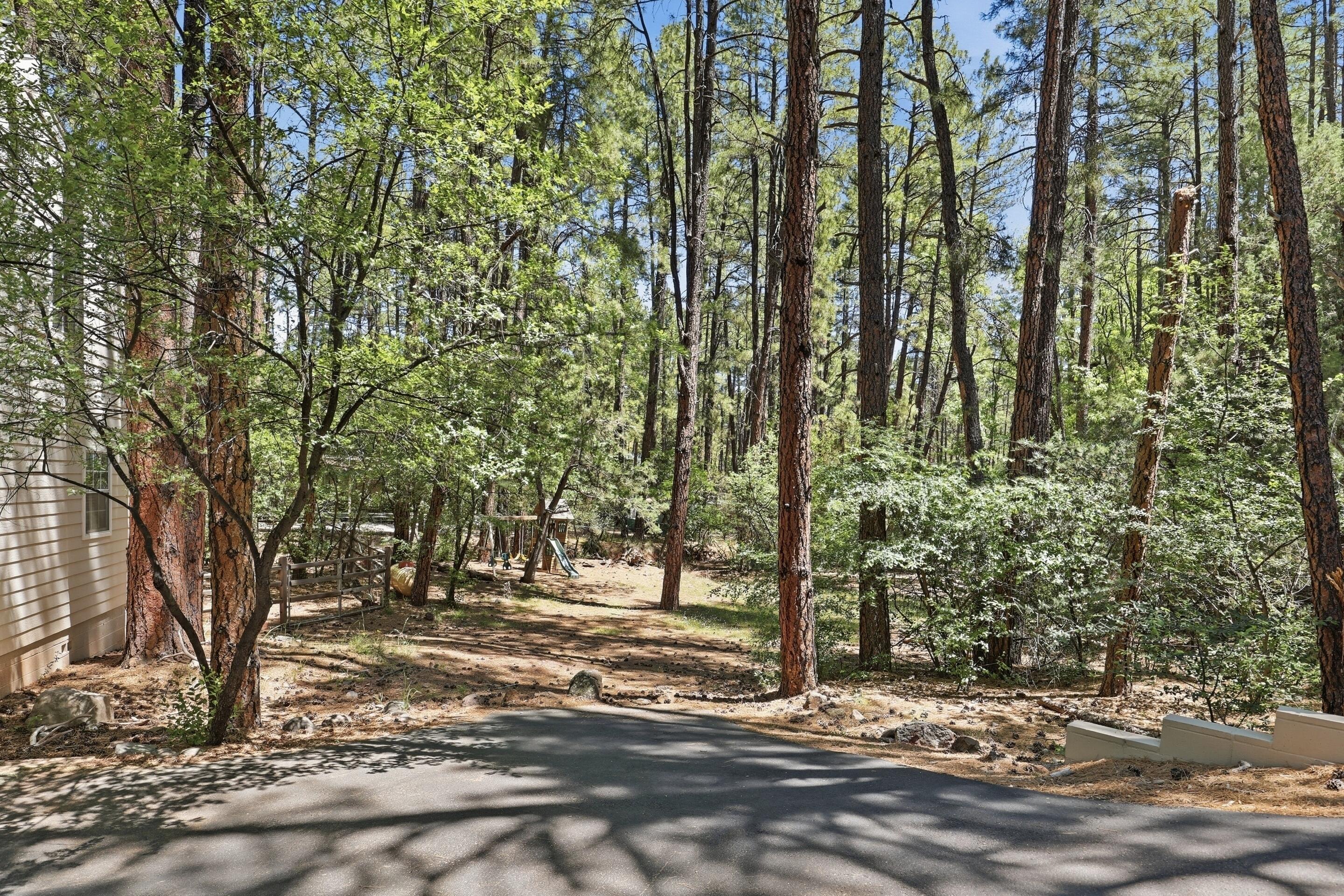 6322 Sharyn Road Pine, AZ 85544 - Photo 35 of 37 a view of outdoor space with trees