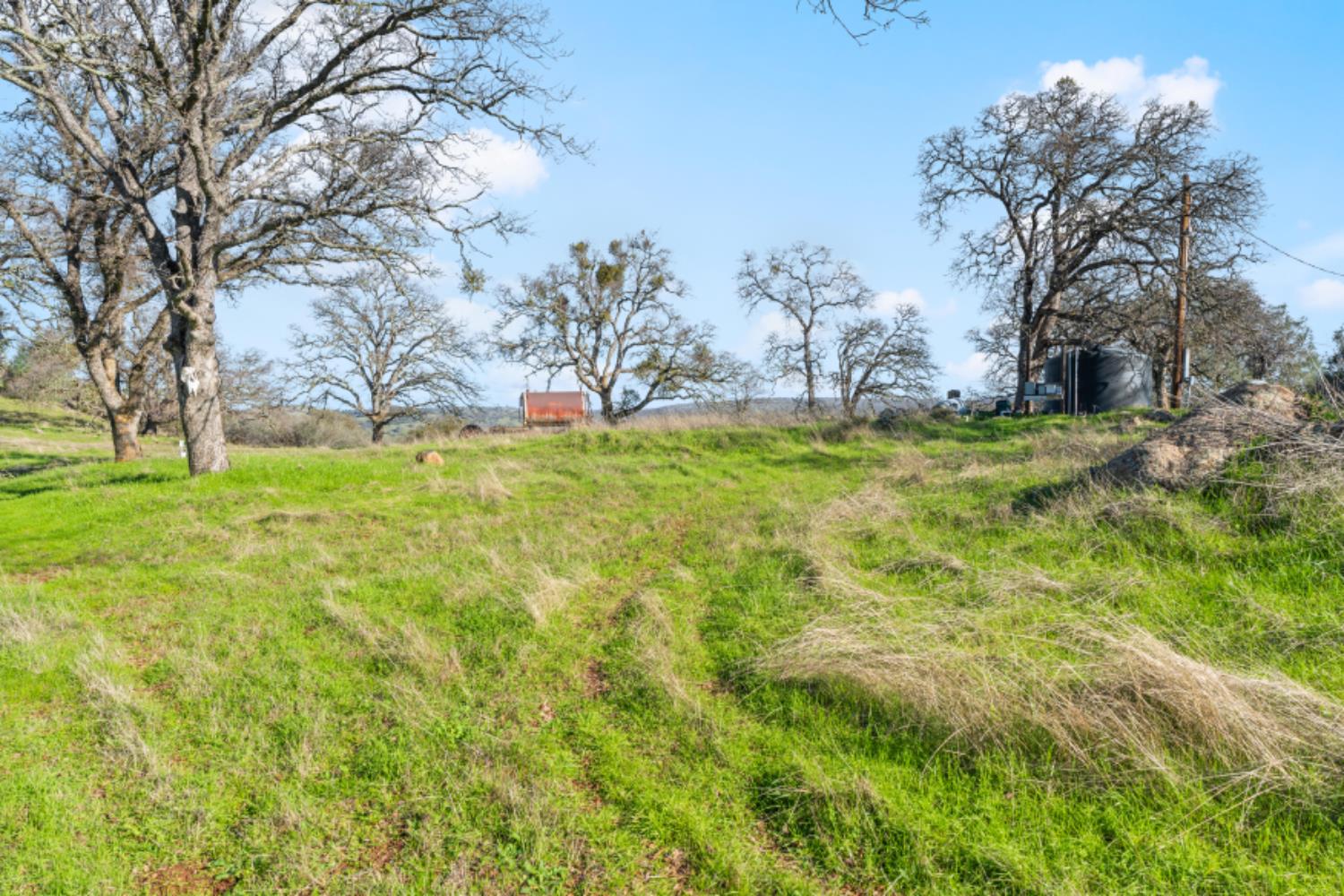 8251 Buffalo Ridge Road Ione, CA 95640 - Photo 59 of 75 a backyard of a house with lots of green space