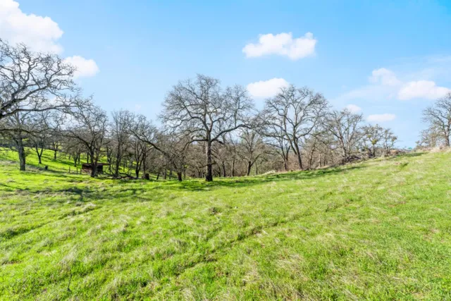 $799,000 | 8251 Buffalo Ridge Road, Ione, CA 95640